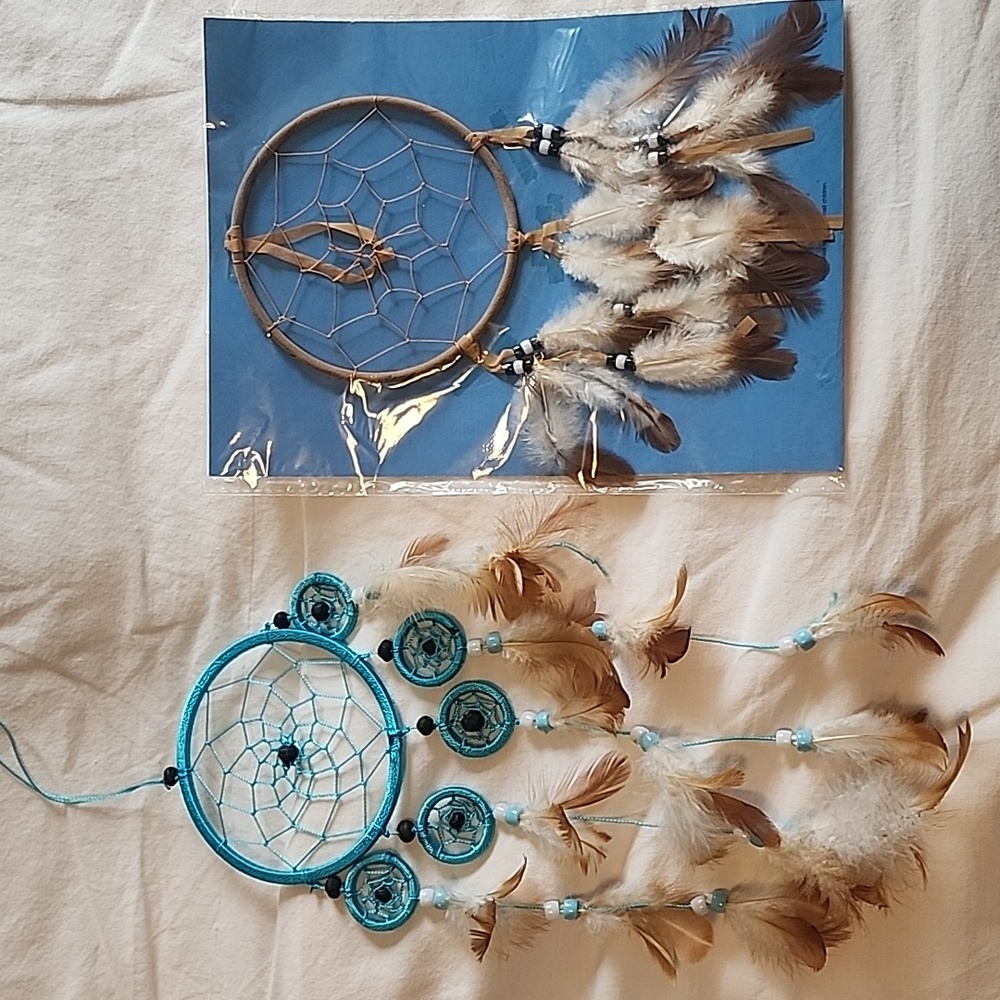 Pair of Earthbound Dream Catchers